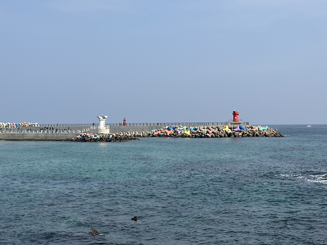 어달항. 윤성아 인턴기자