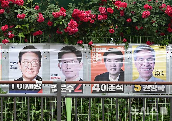 [안양=뉴시스] 김종택 기자 = 제21대 대통령선거를 하루 앞둔 2일 경기 안양시 만안구 한 거리에 장미꽃 밑으로 후보자들의 선거 벽보가 걸려 있다. 2025.06.02. jtk@newsis.com