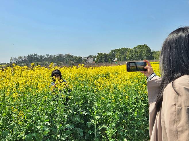 셴닝 유채밭은 인생샷 핫플이 된다. 사진|강석봉 기자