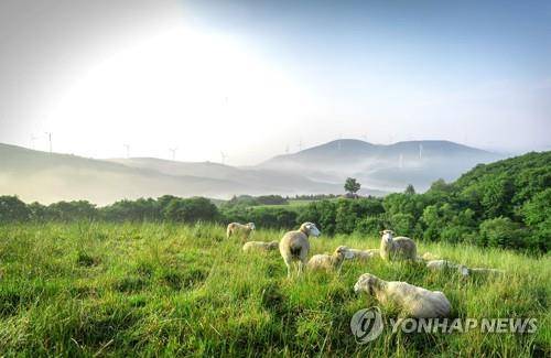 삼양라운드힐 [연합뉴스 자료사진]