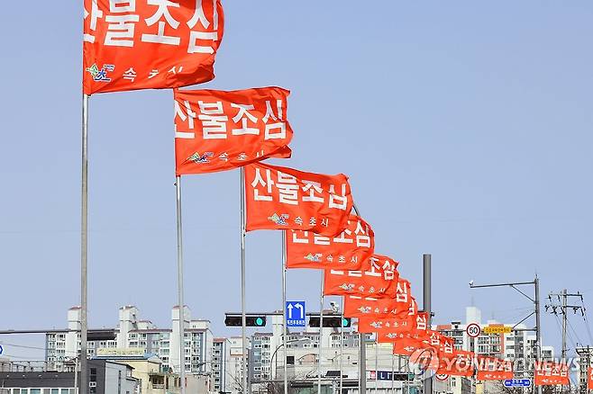 산불 조심 깃발 [연합뉴스 자료사진]