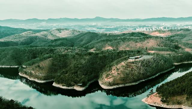 ▲ 맹동 치유의 숲 전경.