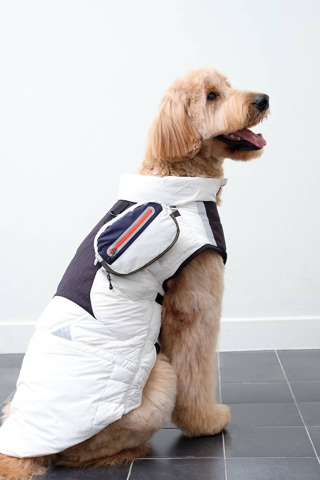 래코드 'MOL 서비스'를 통해 입던 옷을 업사이클링해 반려견 우비로 재탄생시켰다./코오롱FnC