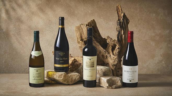 금양인터내셔날에서 수입판매하는 토레스 와인 4종. 좌측부터 밀만다, 마스 라 플라나, 그랑무라예스, 퍼페츄얼. 금양인터내셔날 제공