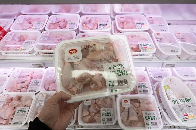 29일 서울 시내 대형마트에 닭고기 등 육계 판매대 모습. 연합뉴스