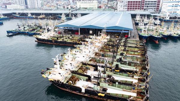 30일 부산 서구 공동어시장에 대형기선저인망수협 소속 쌍끌이 어선들이 정박해 있다. 이들 선박은 어업용 면세유 가격이 급등하면서 최근 조업을 중단했다.  전민철 기자 jmc@kookje.co.kr