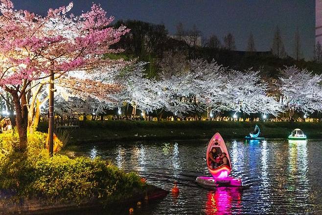 [서울=뉴시스] 석촌호수 벚꽃 야경. 2025.03.27 (사진 제공=송파구청) photo@newsis.com *재판매 및 DB 금지