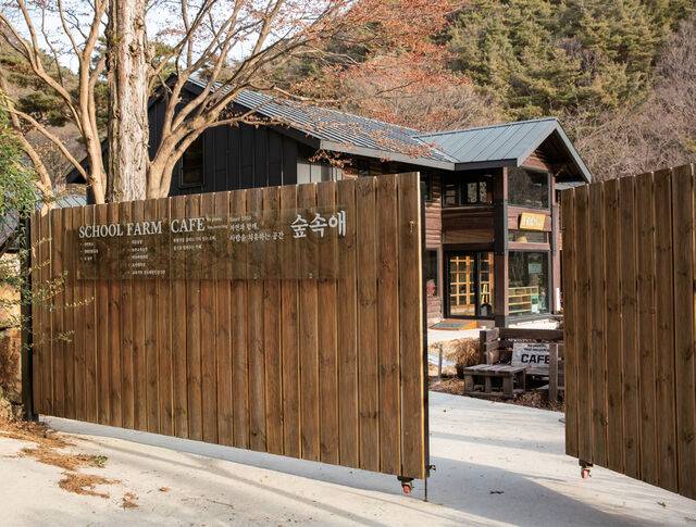 숲속애 치유농장 전경.