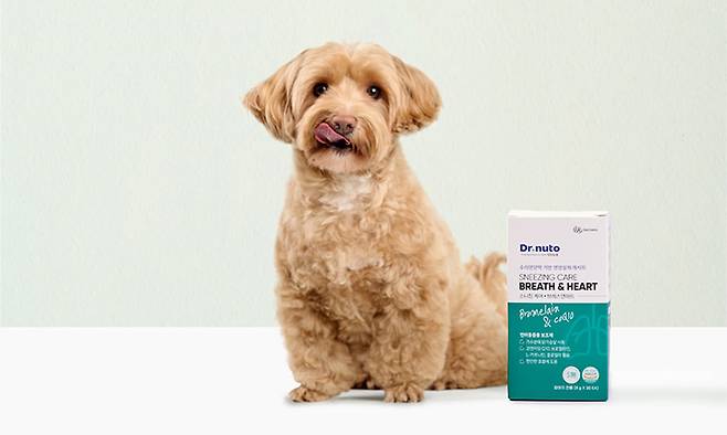 대상펫라이프 ‘닥터뉴토’ 제품. 대상펫라이프 제공
