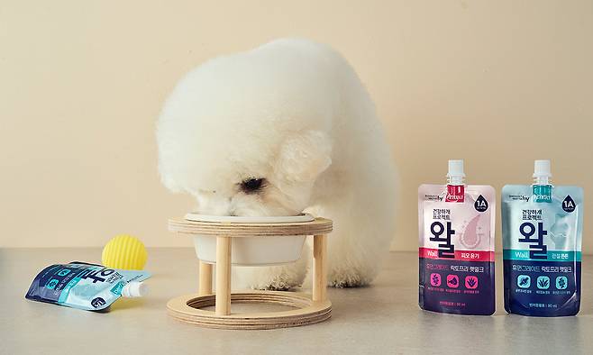 hy, 펫밀크 ‘왈’ 이미지. hy제공