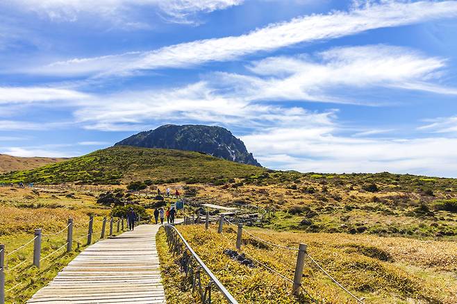 클립아트코리아