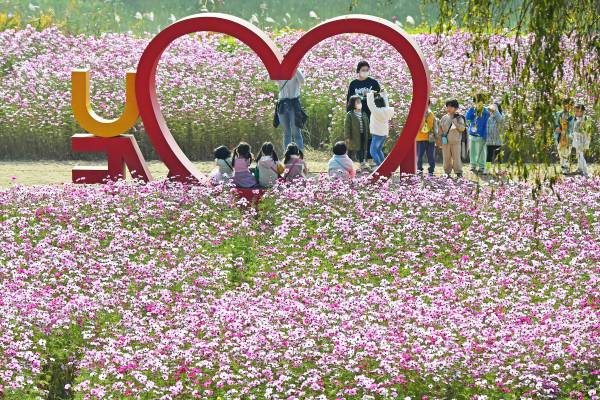 보험업계가 저출산이라는 구조적 위기에 대응하기 위해 다양한 지원책을 내놓으며 사회안전망 기능 강화와 지속 가능한 성장 동력 확보를 동시에 꾀하고 있다../사진=미디어펜 김상문 기자