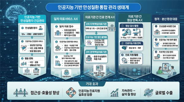 만성질환자 대상 보건의료 인공지능(AI) 전환 (AX) 모델(안) / 자료제공=보건복지부