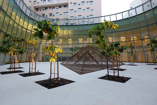 뉴욕대학교 아부다비 캠퍼스 (출처=위키미디어 커먼스)