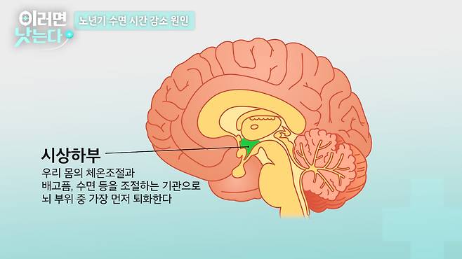 /조선일보 의학·건강 유튜브 '이러면 낫는다'