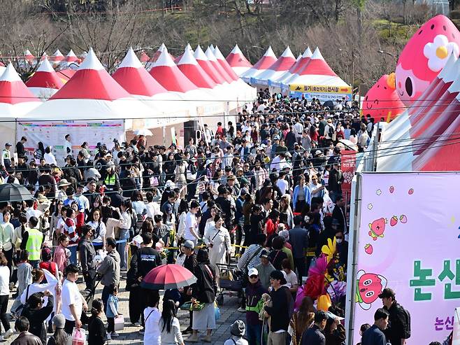 26일부터 진행된 논산딸기축제에 67만여 명이 다녀갔다. 논산시 제공