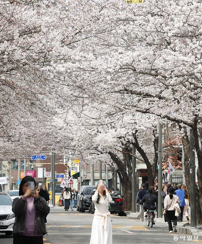 벚꽃이 피기 시작한 31일 점심시간에 서울 마포구 합정동 회우정로를 찾은 인근 직장인과 외국인 관광객들이 산책을 하거나 셀카를 찍으며 봄날 오후를 즐기고 있다. 신원건 기자 laputa@donga.com