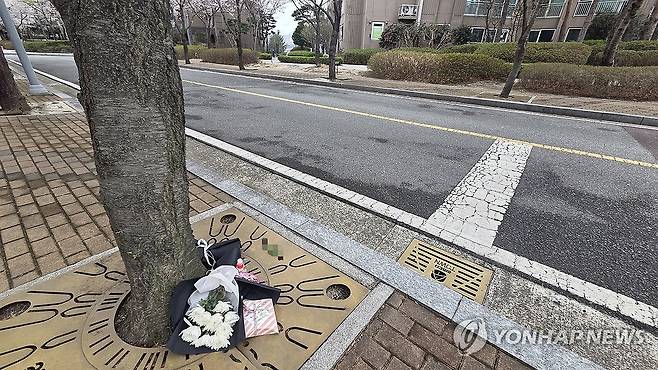 사고 현장에 놓인 국화꽃 (울산=연합뉴스) 장지현 기자 = 지난 30일 울산의 한 아파트 단지 내 도로에서 8살 초등학생이 스포츠유틸리티차(SUV) 차량에 치여 숨지는 사고가 났다. 사진은 31일 오후 사고 현장 도로변에 국화꽃과 손 편지 등이 놓여 있는 모습. 2026.3.31 jjang23@yna.co.kr