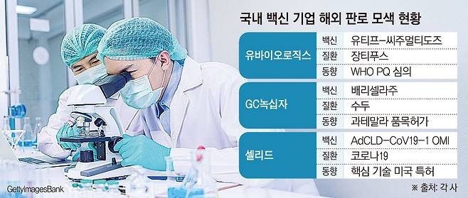 (그래픽=손미경 기자 sssmk@)