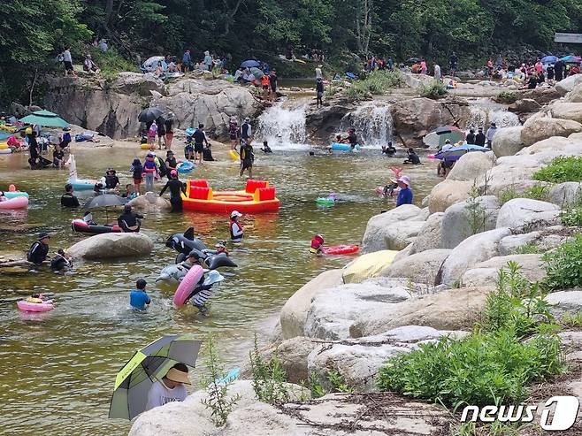 강원 강릉 연곡면 소금강 야영장 인근 계곡.(뉴스1 DB) ⓒ 뉴스1 윤왕근 기자