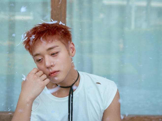 [사진 = YY엔터테인먼트 제공]