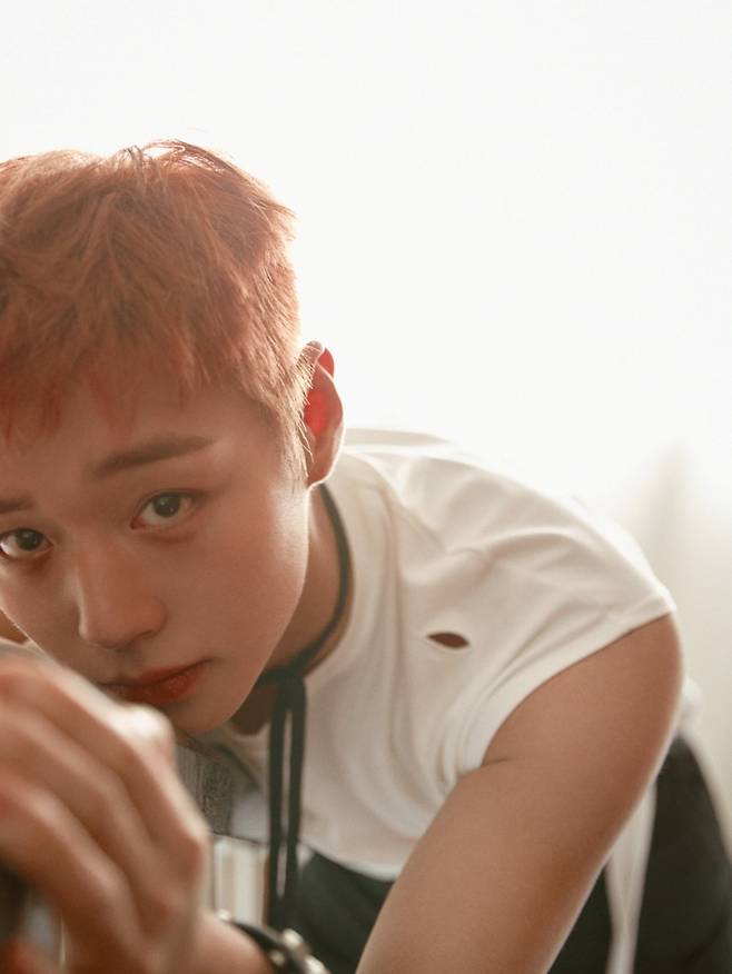 [사진 = YY엔터테인먼트 제공]