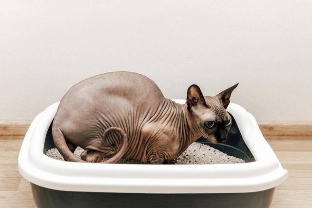 게티이미지뱅크