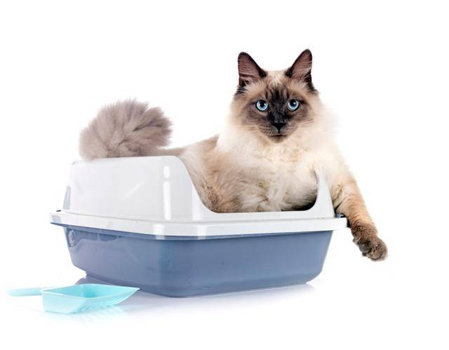 게티이미지뱅크