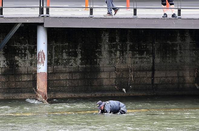 31일 대구 북구 칠성동 잠수교 인근 신천에서 경찰이 시신이 담긴 캐리어를 수색하고 있다. [뉴스1]