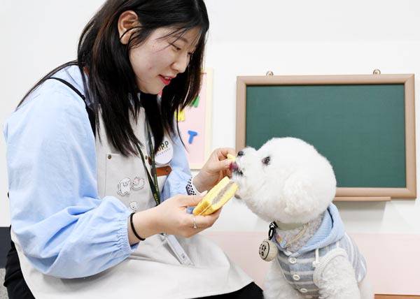장민지 연구원과 반려동물 도담이가 이날 만든 앙버터샌드를 맛있게 먹으며 교감하고 있다. 김성효 선임기자 kimsh@kookje.co.kr
