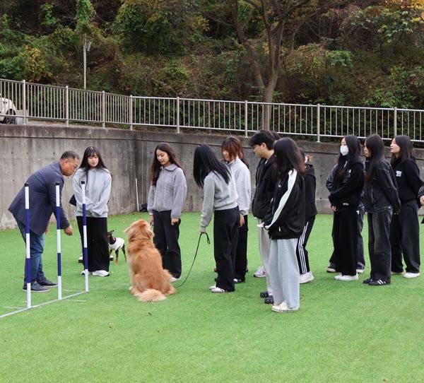 신라대 산업보안동 앞에 있는 동물행동교정교육장에서 사업단 관계자들이 반려동물 행동교정 수업을 하고 있다.  신라대학교 I-URP사업단 제공