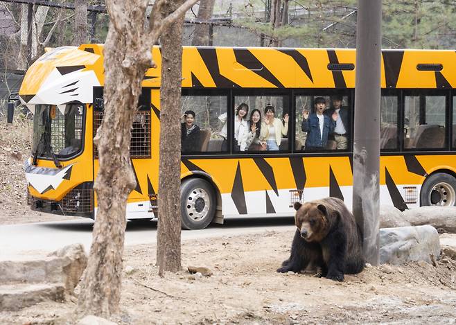 뉴 사파리월드 내 전기버스. /사진제공=에버랜드