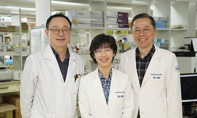 영남대 세노테라피 기반 대사질환 제어 연구센터 연구팀. 왼쪽부터 김억천 교수, 박소영 교수, 김재룡 교수. 영남대 제공