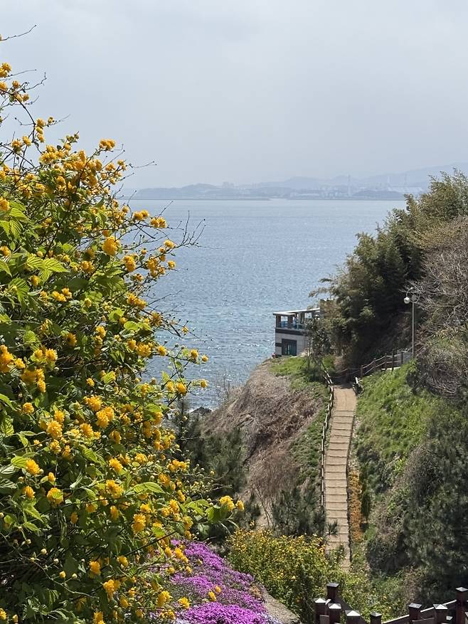 묵호 해안 산책길에서 바라본 동해 풍경. 봄이 되면 주변 산책로에는 꽃이 피어 바다와 함께 계절 풍경을 즐길 수 있다.