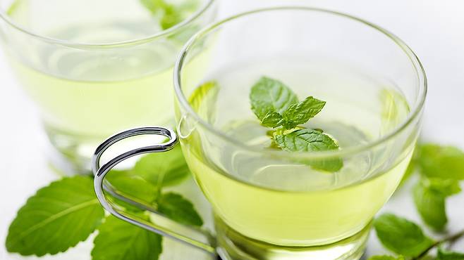 페퍼민트차는 다양한 위장 증상 완화에 도움이 된다｜출처: 클립아트코리아