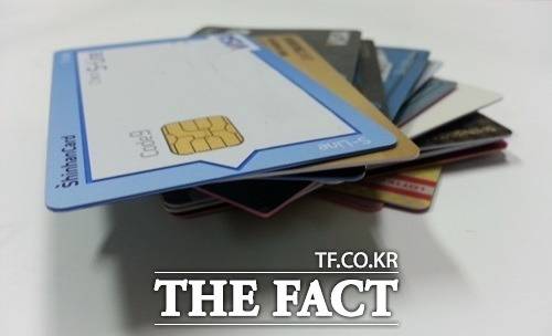 지난해 신용카드사들이 또 한 번 역대급 연회비 수익을 거두며 견조한 영업 성과를 기록했다. /더팩트DB