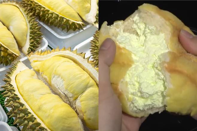 /사진=게티이미지뱅크, 채널A 캡쳐