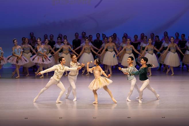 Amateur ballet dancers perform during the 2025 Ballet Mate Festival, an annual gala for adults who learn ballet as a hobby. [WISE BALLET THEATER]