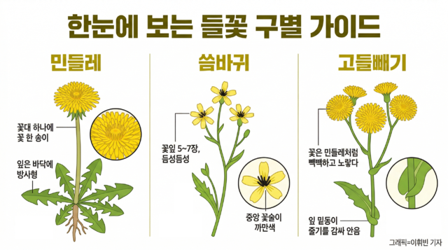 기사의 내용으로 생성한 이미지. 제미나이·캔바