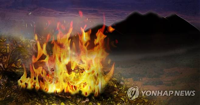 산불 [제작 이태호, 조혜인] 사진합성, 일러스트