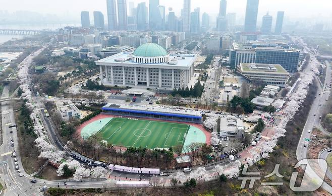 '여의도 봄꽃축제'가 시작된 3일 서울 여의서로 일대에 벚꽃이 만개해 있다. 2026.4.3 ⓒ 뉴스1 최지환 기자