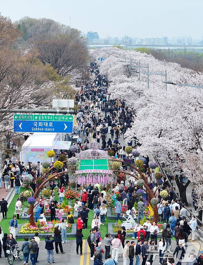 '여의도 봄꽃축제'가 시작된 3일 서울 여의서로 일대에 벚꽃이 만개해 있다. 2026.4.3 ⓒ 뉴스1 최지환 기자