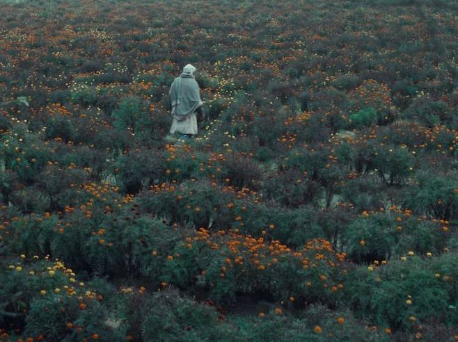 영화 '송아지 인형' 스틸 컷