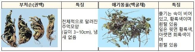 식품의약품안전처