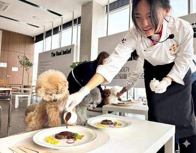 하림펫푸드 해피댄스스튜디오에서 강아지가 밥을 먹기 위해 대기하고 있다. 하림펫푸드 제공