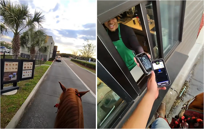 미국의 한 스타벅스 드라이브스루 매장에 말을 탄 채 음료를 주문한 영상이 온라인에서 화제가 되고 있다. /사진=틱톡 캡처 @el_felipemora