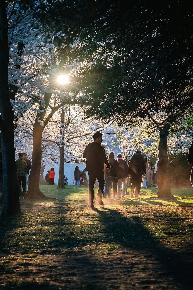 매일 샤워해도 체취가 사라지지 않는다면 몇 가지를 점검해야 한다. 귀 뒤와 뒷목, 겨드랑이 등 놓치기 쉬운 부위를 방치하고 있지 않은지, 정수리의 피지는 제대로 관리되고 있는지 등이다. 때로 제모나 각질 정리 등이 체취를 없애는 데 도움이 될 수도 있다. 사진: 언스플래쉬