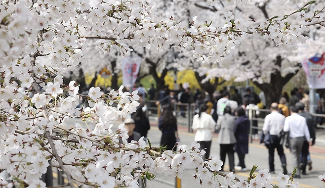 연합뉴스 자료사진.