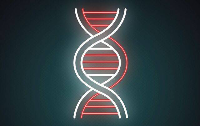 게티이미지뱅크