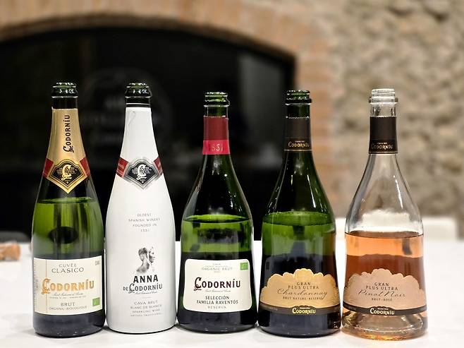 코도르뉴 까바. 최현태 기자